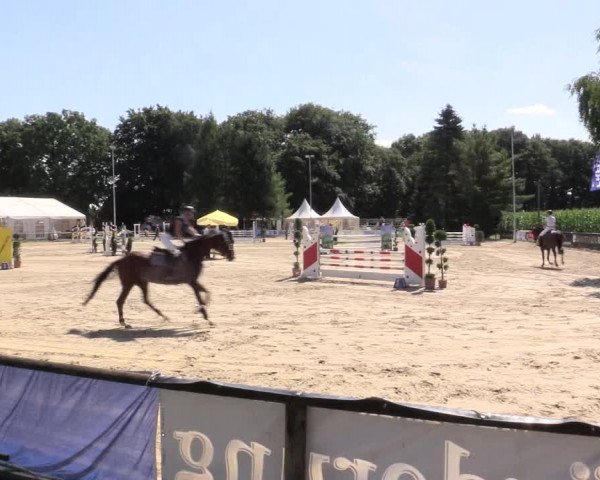 Waltroper Reitertage 2015