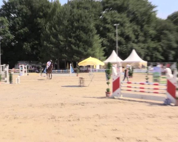 Waltroper Reitertage 2015