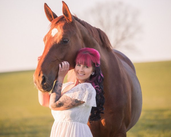 broodmare Sweet Daiquiri (Hanoverian, 2012, from Swarovski)