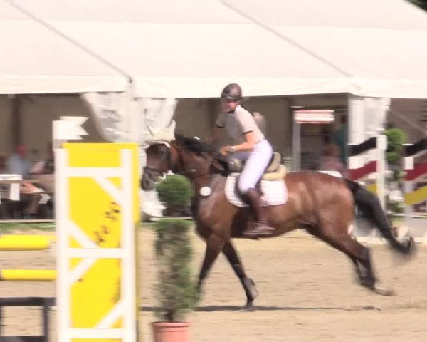 Waltroper Reitertage 2015