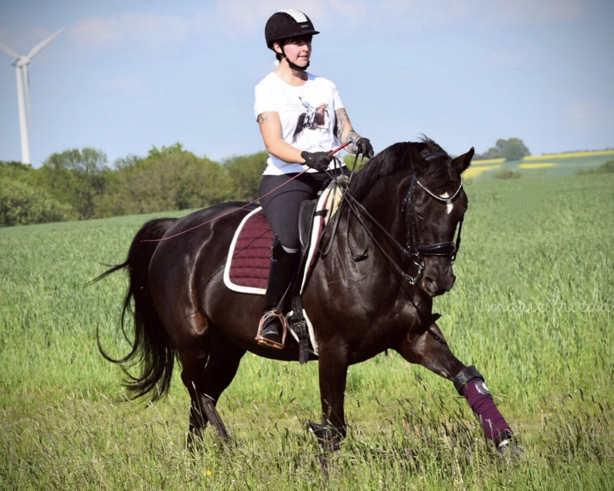 broodmare Hema Chandra (Brandenburg, 2001, from Hohenstein I)