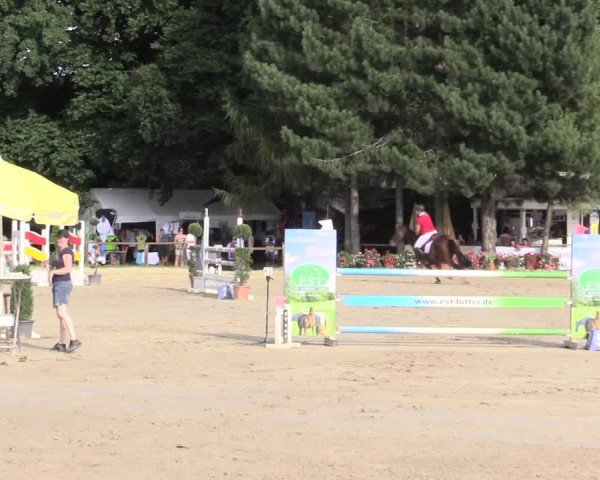 Waltroper Reitertage 2015