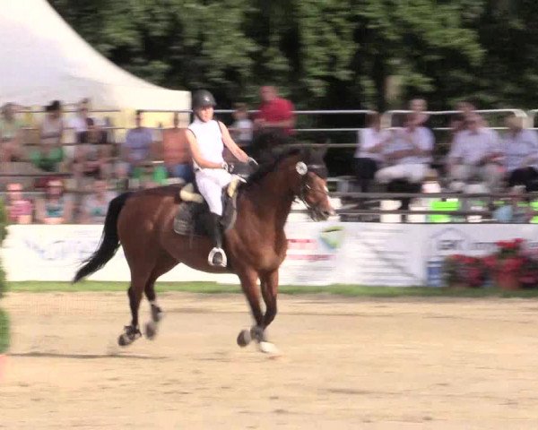 Waltroper Reitertage 2015
