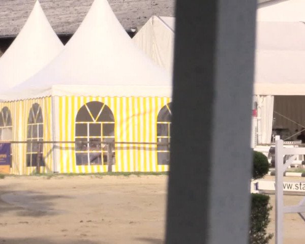 Waltroper Reitertage 2015