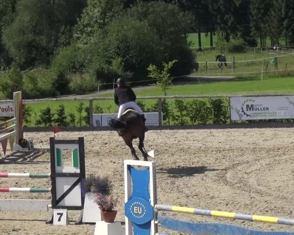 Reitturnier Monschau-Mützenich 2015