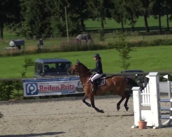 Reitturnier Monschau-Mützenich 2015