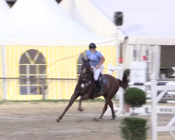 Waltroper Reitertage 2015