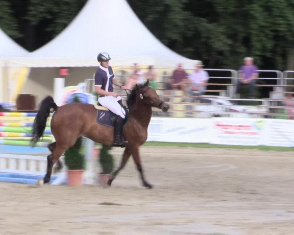 Waltroper Reitertage 2015