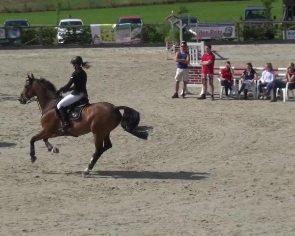 Reitturnier Monschau-Mützenich 2015
