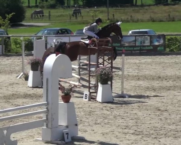 Reitturnier Monschau-Mützenich 2015
