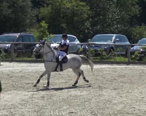 Reitturnier Monschau-Mützenich 2015