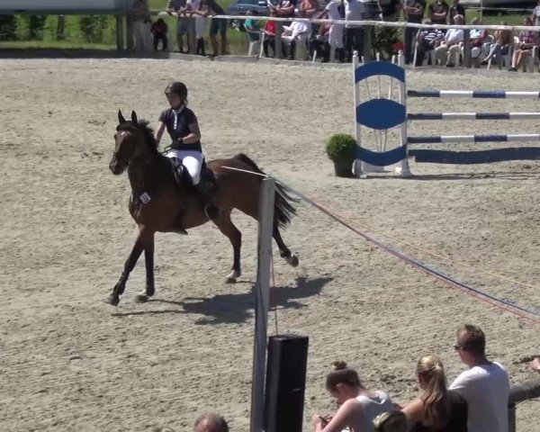Reitturnier Monschau-Mützenich 2015