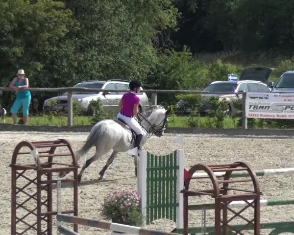 Reitturnier Monschau-Mützenich 2015