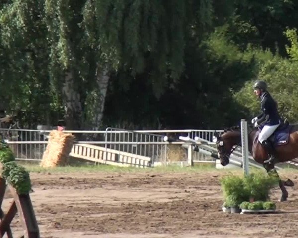 Reitturnier Neuss-Uedesheim 2015