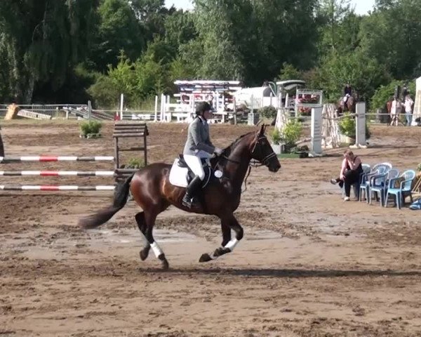Reitturnier Neuss-Uedesheim 2015