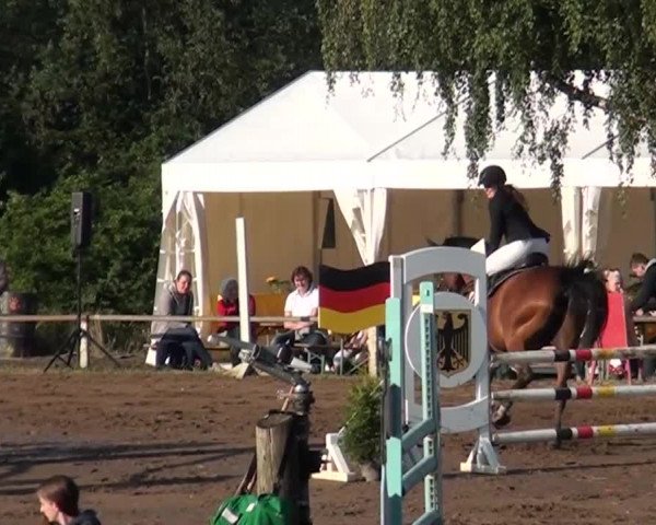Reitturnier Neuss-Uedesheim 2015
