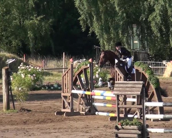 Reitturnier Neuss-Uedesheim 2015