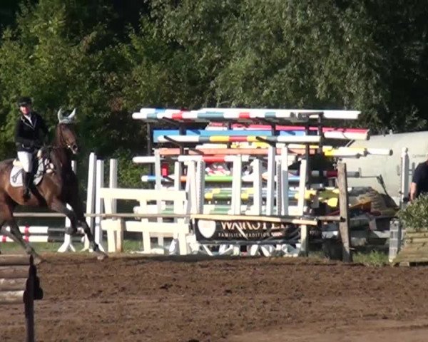 Reitturnier Neuss-Uedesheim 2015