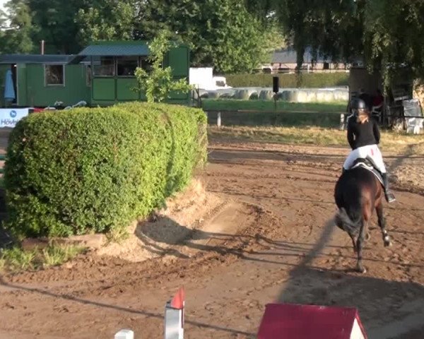 Reitturnier Neuss-Uedesheim 2015
