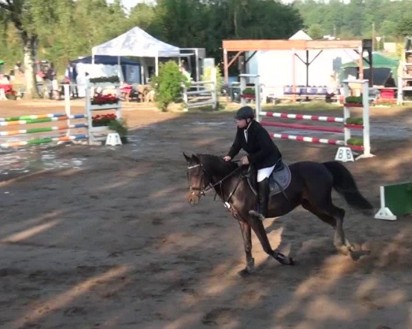 Reitturnier Neuss-Uedesheim 2015
