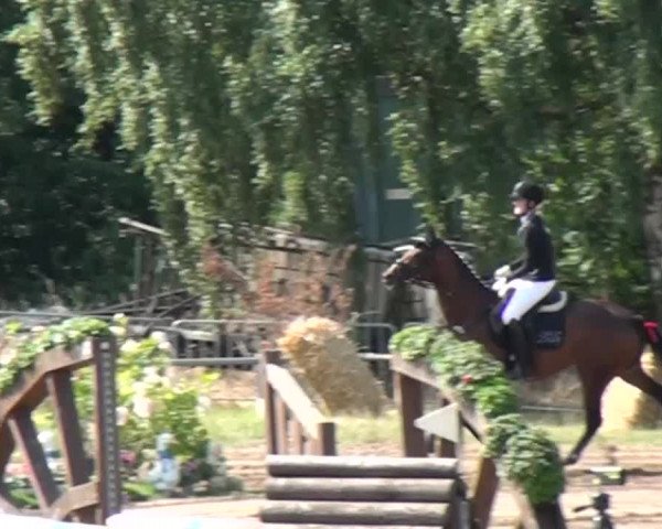 Reitturnier Neuss-Uedesheim 2015