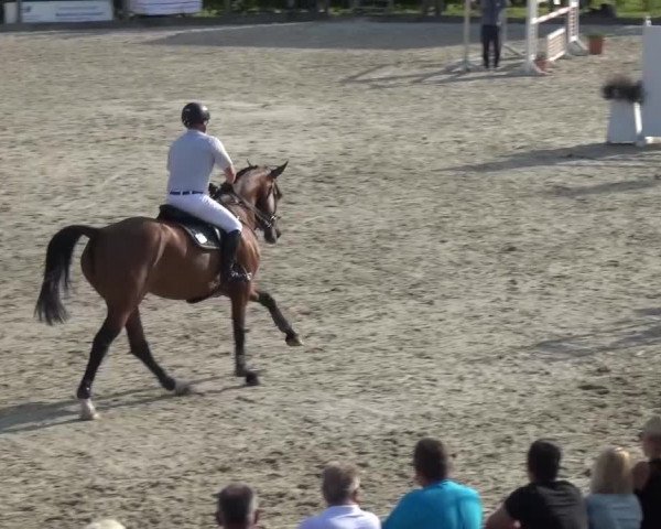 Reitturnier Monschau-Mützenich 2015