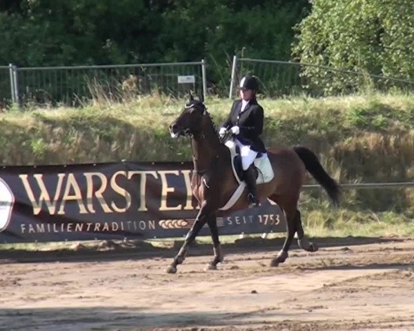 Reitturnier Neuss-Uedesheim 2015