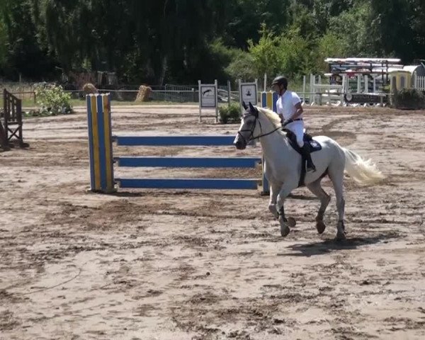 Reitturnier Neuss-Uedesheim 2015