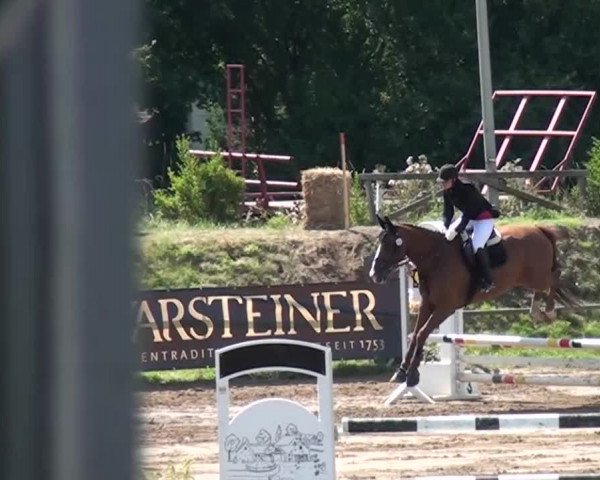 Reitturnier Neuss-Uedesheim 2015