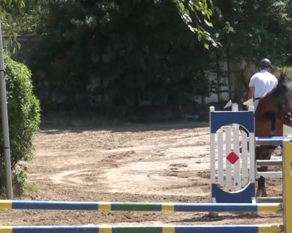 Reitturnier Neuss-Uedesheim 2015
