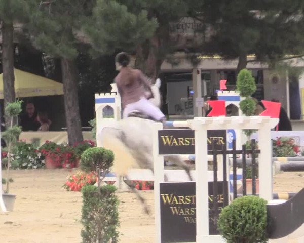 Waltroper Reitertage 2015