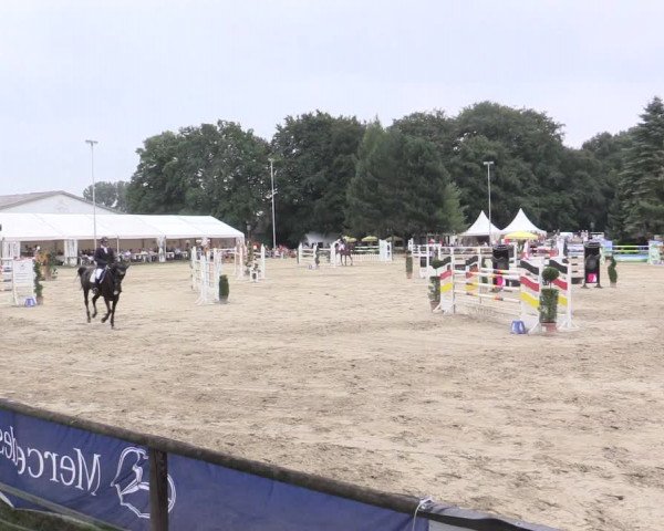 Waltroper Reitertage 2015