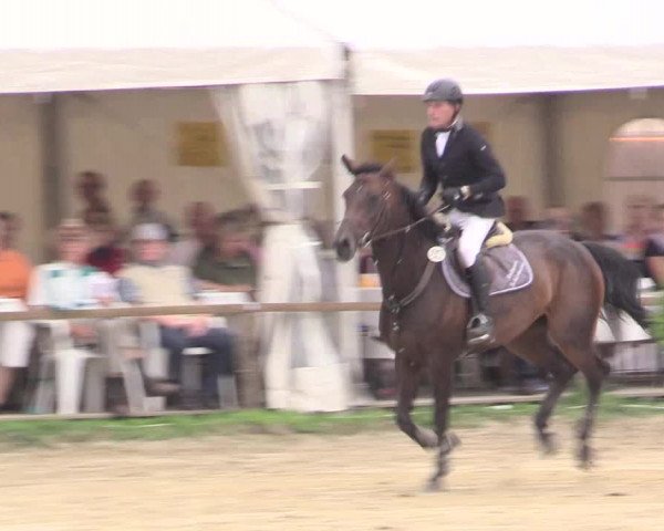 Waltroper Reitertage 2015