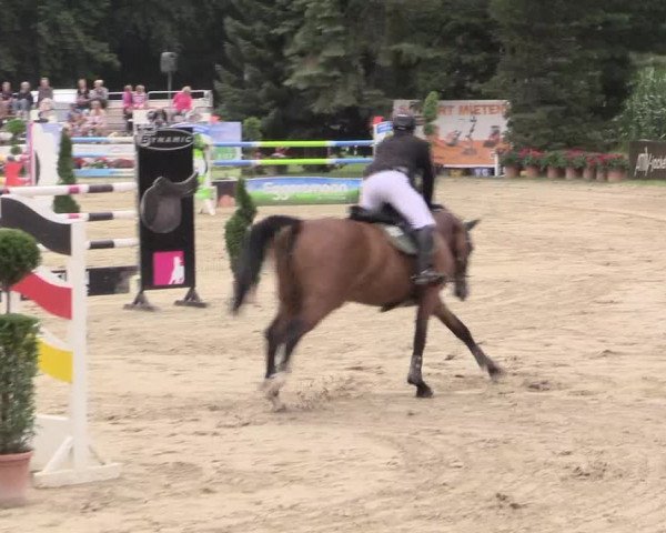 Waltroper Reitertage 2015