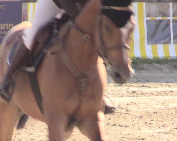 Waltroper Reitertage 2015
