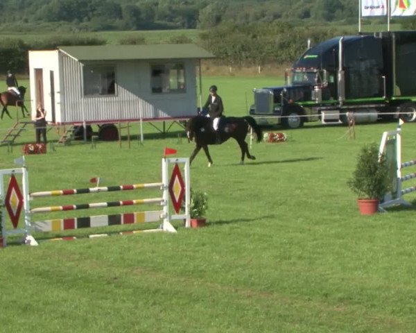 Reitturnier Behrendorf 2015