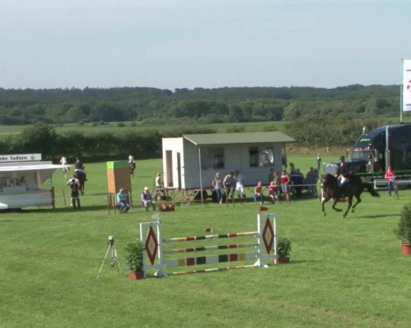Reitturnier Behrendorf 2015
