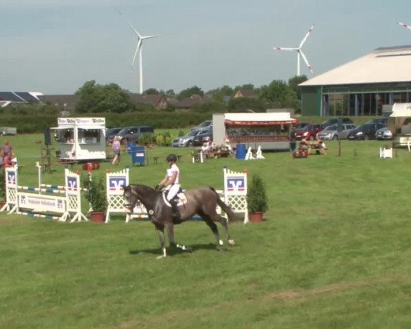 Reitturnier Behrendorf 2015
