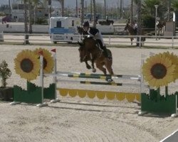 Springpferd Leslie 96 (Oldenburger Springpferd, 2014, von Los Angeles)