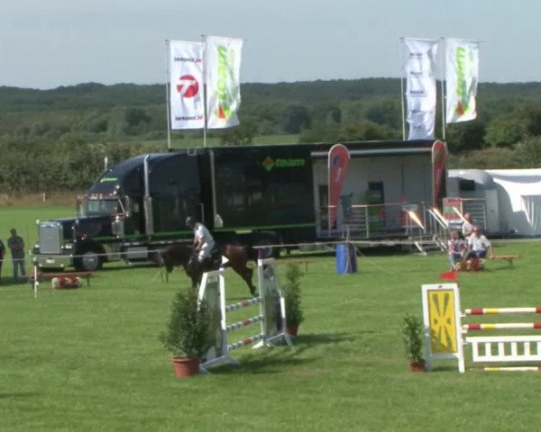 Reitturnier Behrendorf 2015