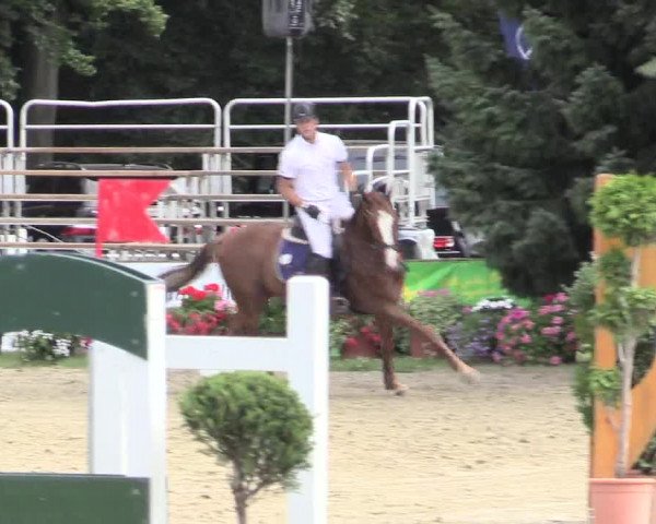 Waltroper Reitertage 2015