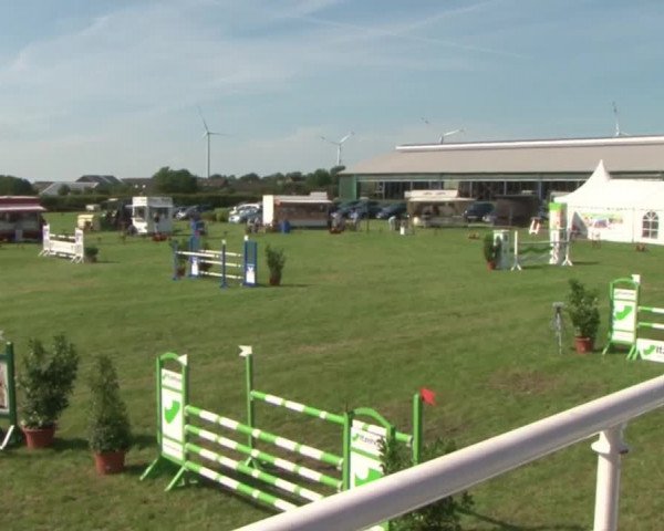 Reitturnier Behrendorf 2015