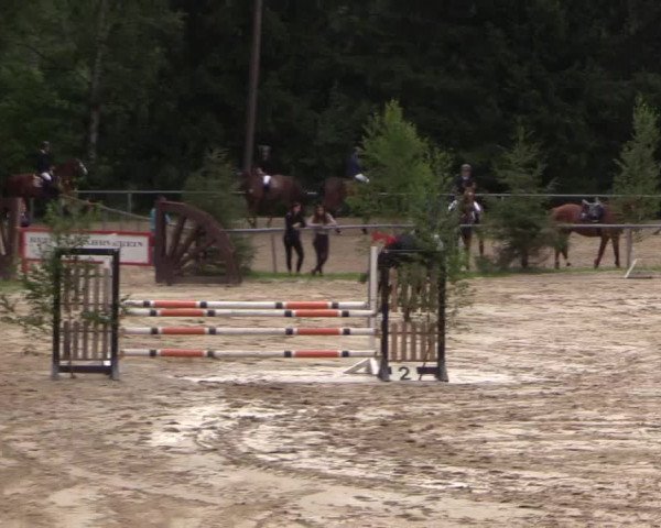 Reitturnier Neunkirchen-Salchendorf 2015