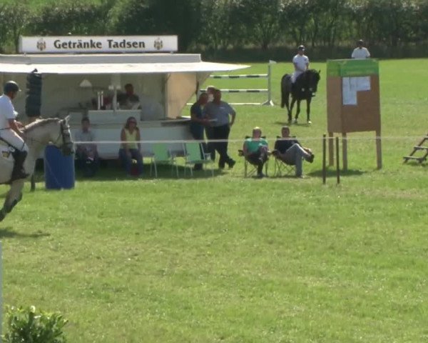 Reitturnier Behrendorf 2015