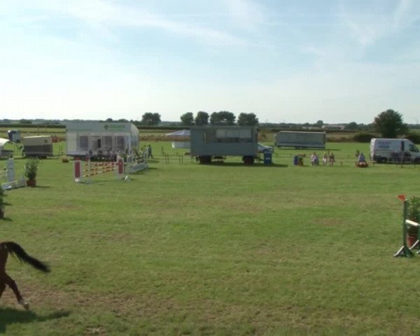Reitturnier Behrendorf 2015