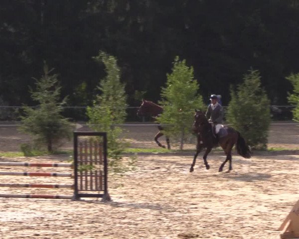 Reitturnier Neunkirchen-Salchendorf 2015