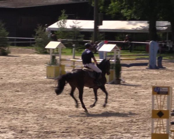Reitturnier Neunkirchen-Salchendorf 2015