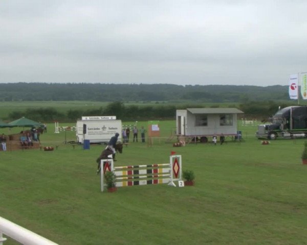 Reitturnier Behrendorf 2015
