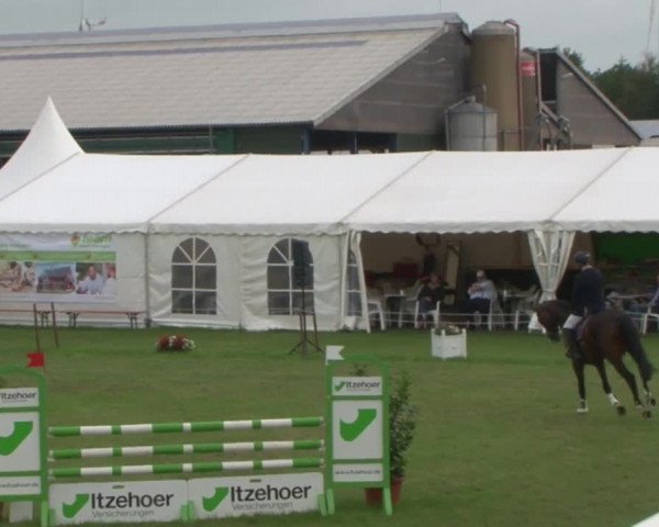 Reitturnier Behrendorf 2015