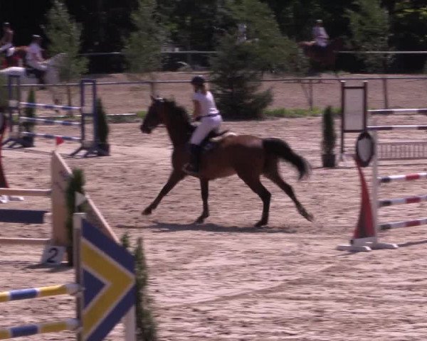 Reitturnier Neunkirchen-Salchendorf 2015